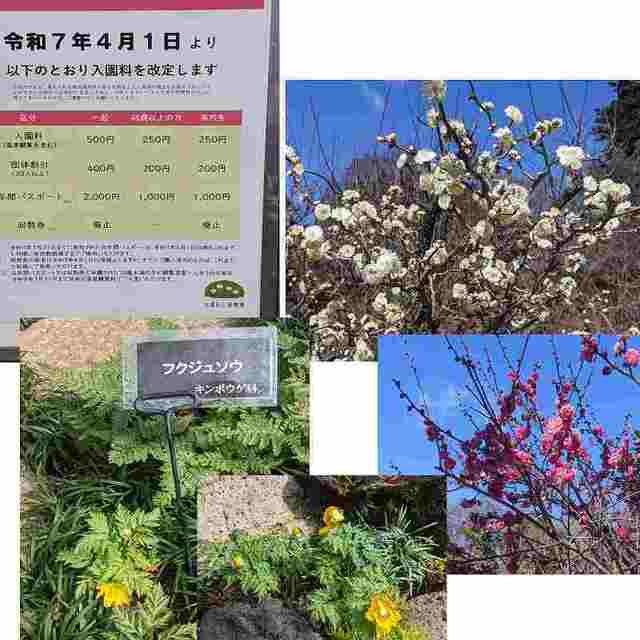 改定・植物園.jpg