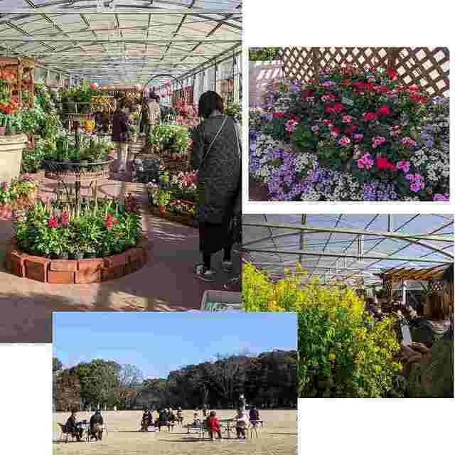 草花展ー植物園.jpg