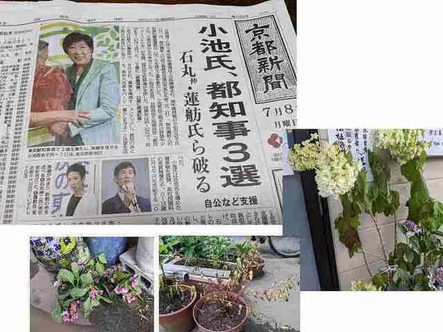 都知事選・小池3選.jpg